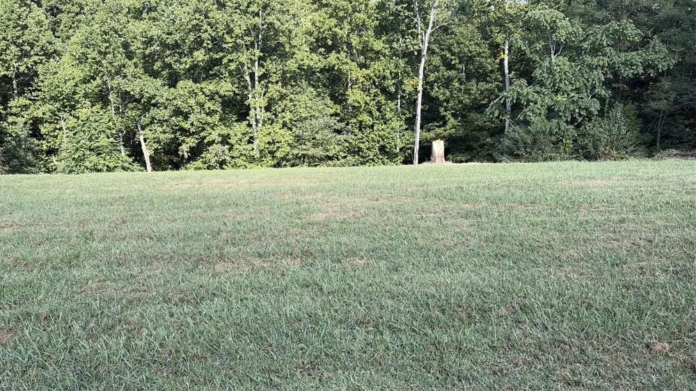 0 Countrywood Ln Gainesboro, TN 38562