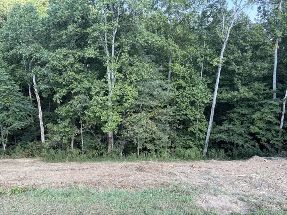 0 Countrywood Ln Gainesboro, TN 38562