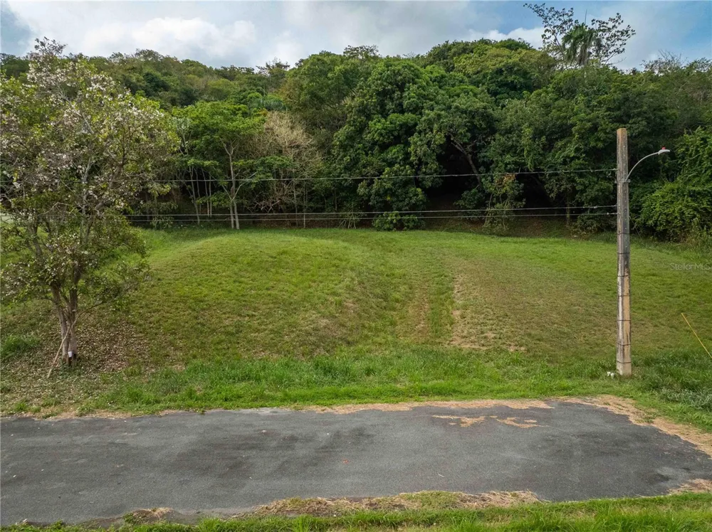 98 NARANJO VALLEY, CALLE 4 Fajardo, PR 00738