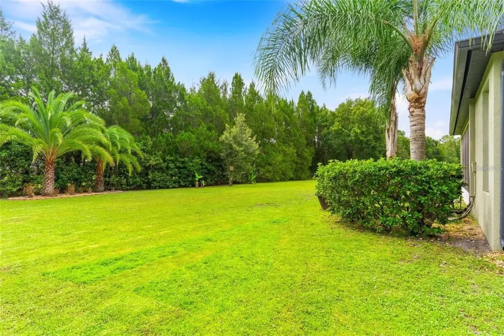 1122 NASHVILLE DRIVE Wesley Chapel, FL 33544