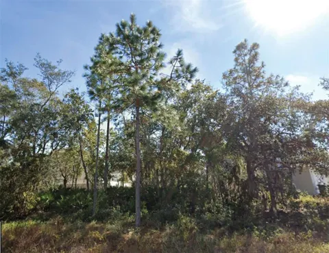 1626 PILCHARD COURT