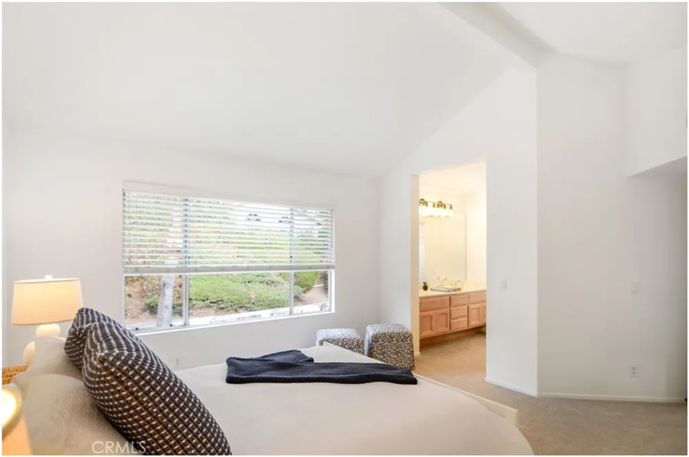 28582 Las Arubas Laguna Niguel, CA 92677