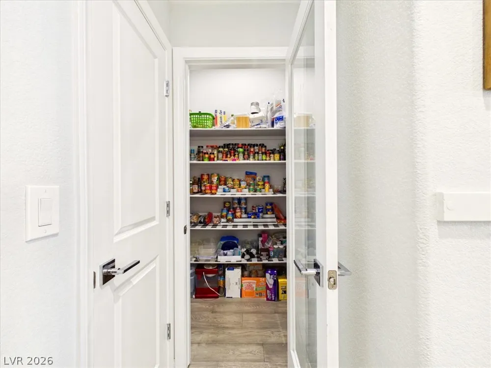 203 Badwater Basin Street Las Vegas, NV 89138
