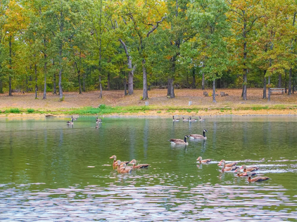 407 VZ County Road 1711 Grand Saline, TX 75140