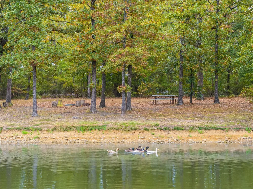 407 VZ County Road 1711 Grand Saline, TX 75140