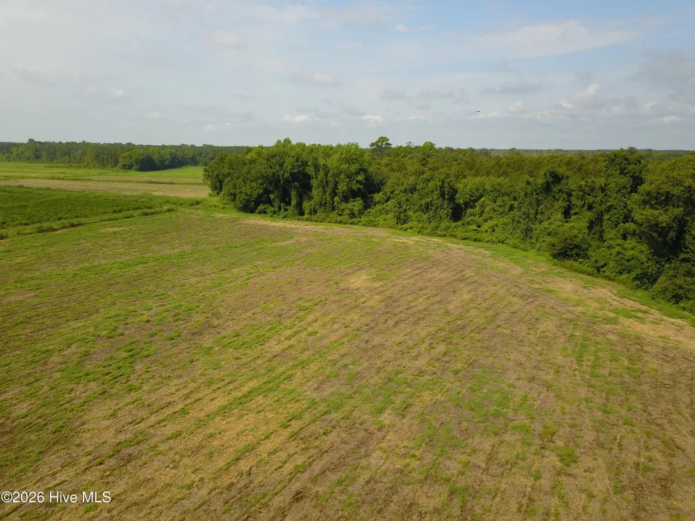 1 S Nc 41 Highway Wallace, NC 28466