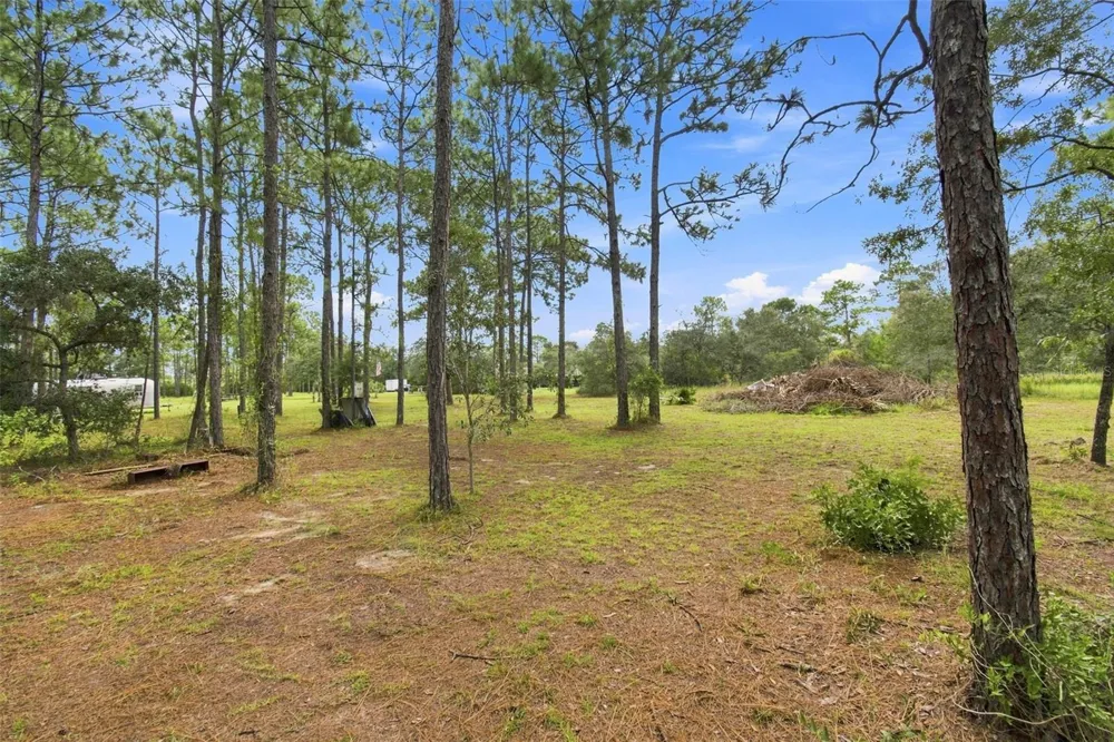 8279 SUNSHINE GROVE ROAD Brooksville, FL 34613