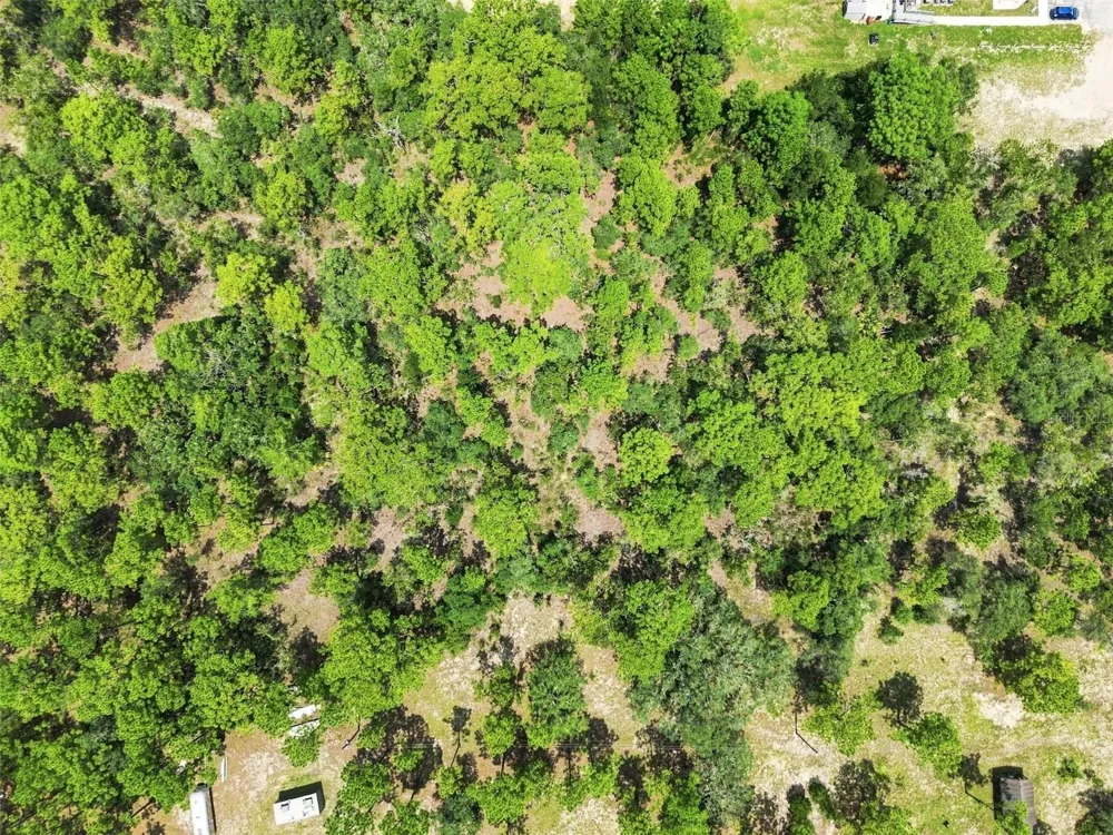 8279 SUNSHINE GROVE ROAD Brooksville, FL 34613