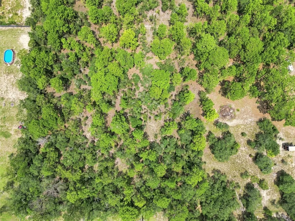 8279 SUNSHINE GROVE ROAD Brooksville, FL 34613