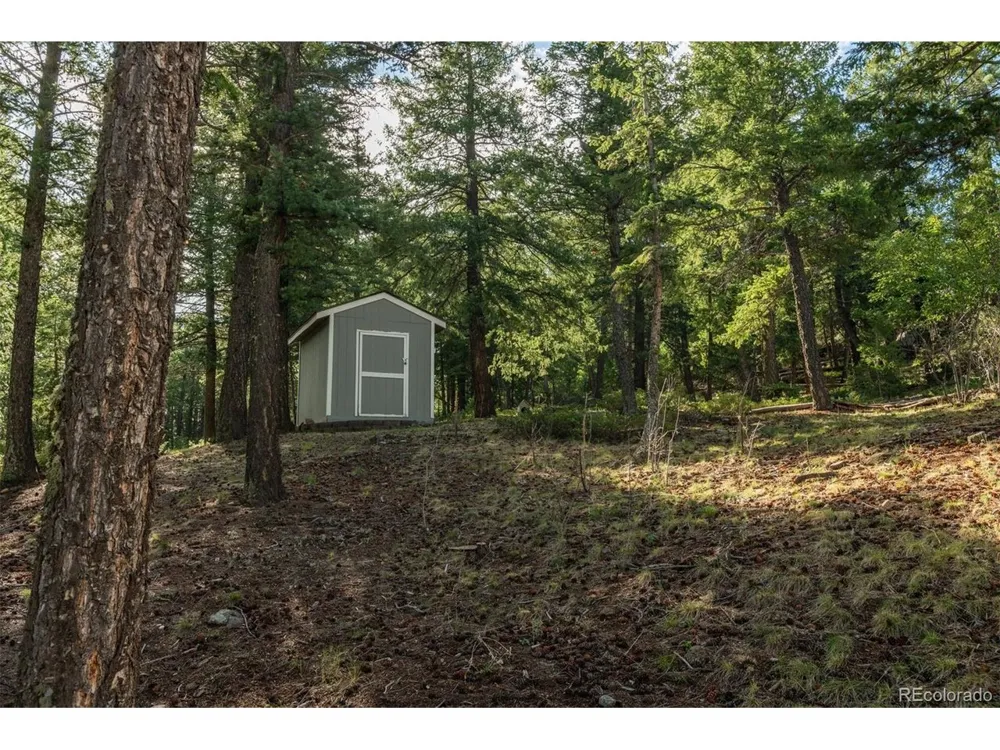25806 Lost Cabin Trail Evergreen, CO 80439
