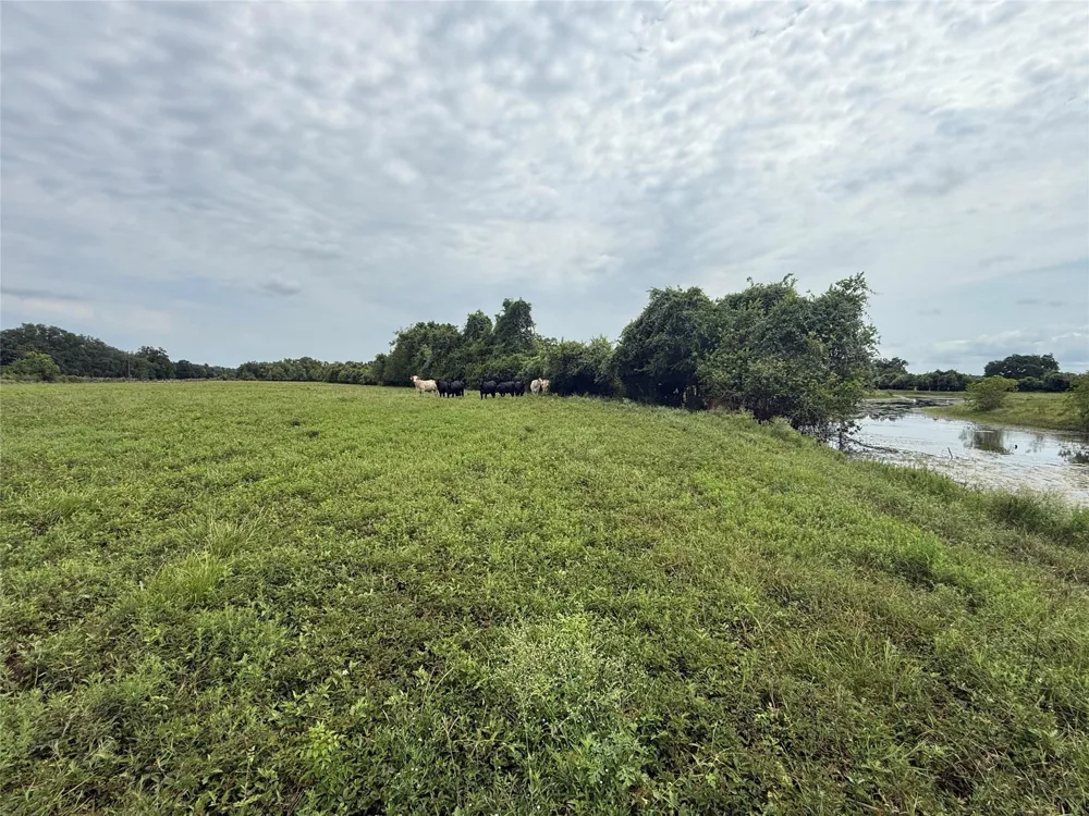 Cr 334 Sweeny, TX 77480