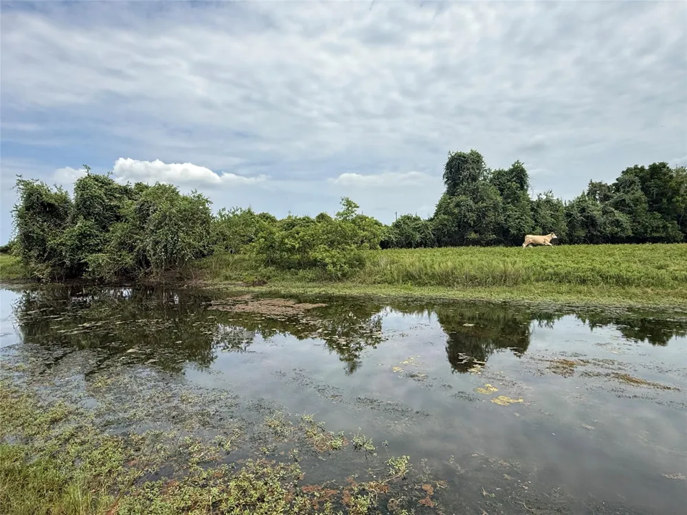 Cr 334 Sweeny, TX 77480