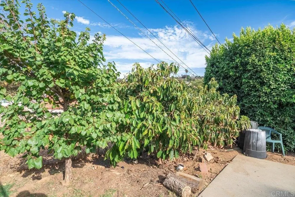 830 E 5Th Avenue Escondido, CA 92025