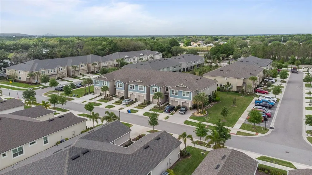 11530 CAMBIUM CROWN DRIVE Riverview, FL 33569