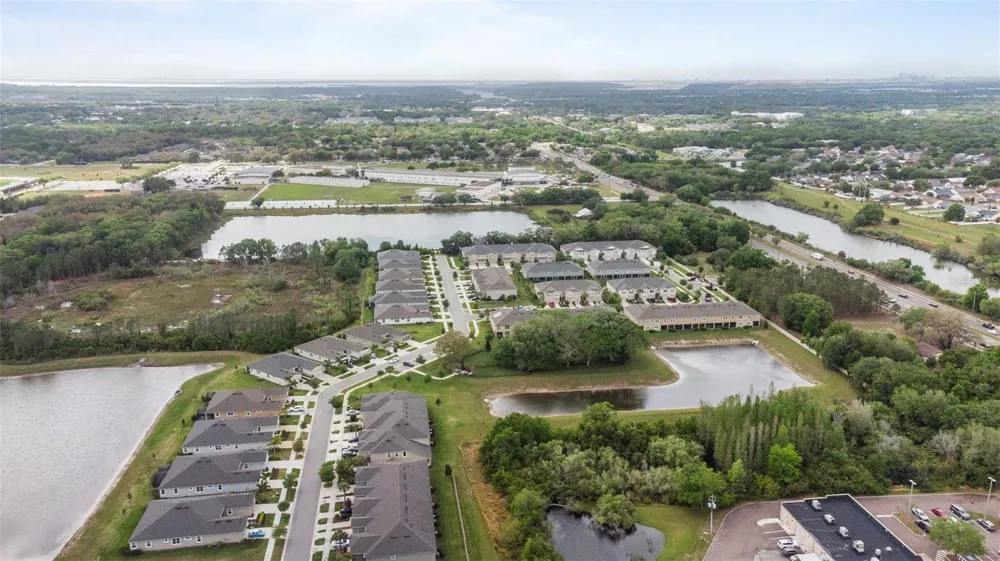 11530 CAMBIUM CROWN DRIVE Riverview, FL 33569