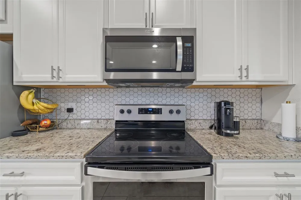 11530 CAMBIUM CROWN DRIVE Riverview, FL 33569