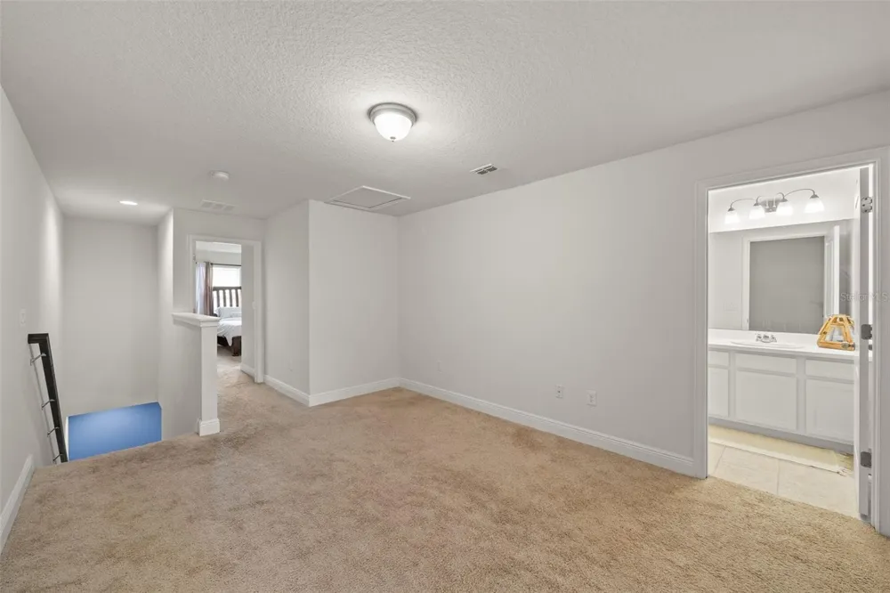 11530 CAMBIUM CROWN DRIVE Riverview, FL 33569