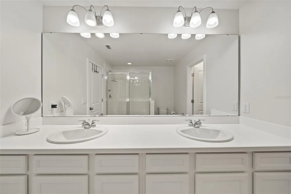 11530 CAMBIUM CROWN DRIVE Riverview, FL 33569
