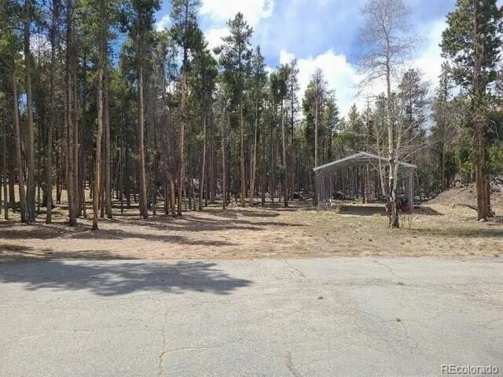 757 Thompson Park Road Fairplay, CO 80440