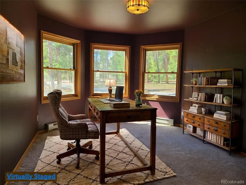757 Thompson Park Road Fairplay, CO 80440