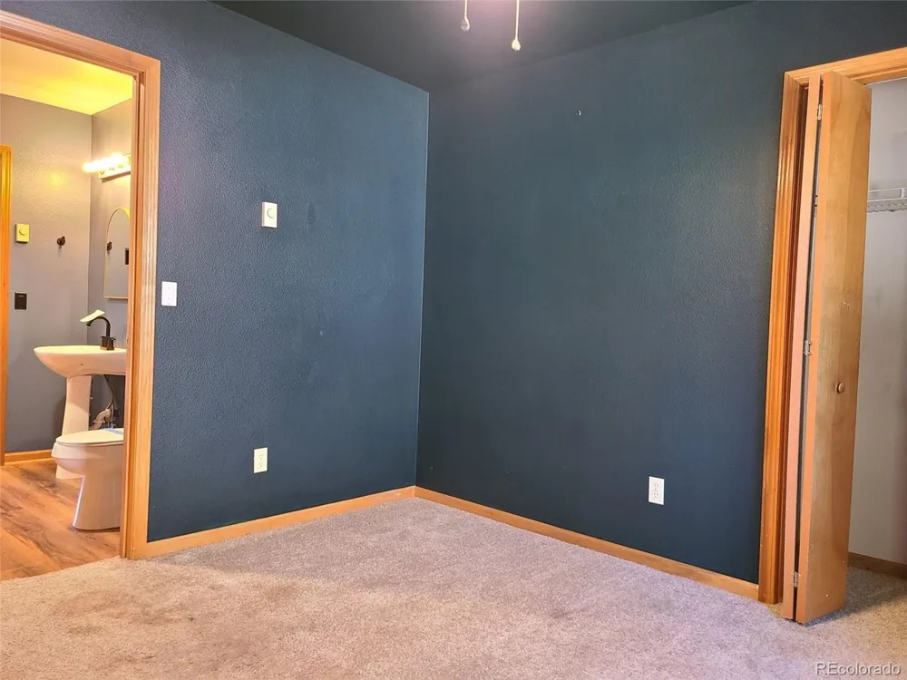 757 Thompson Park Road Fairplay, CO 80440