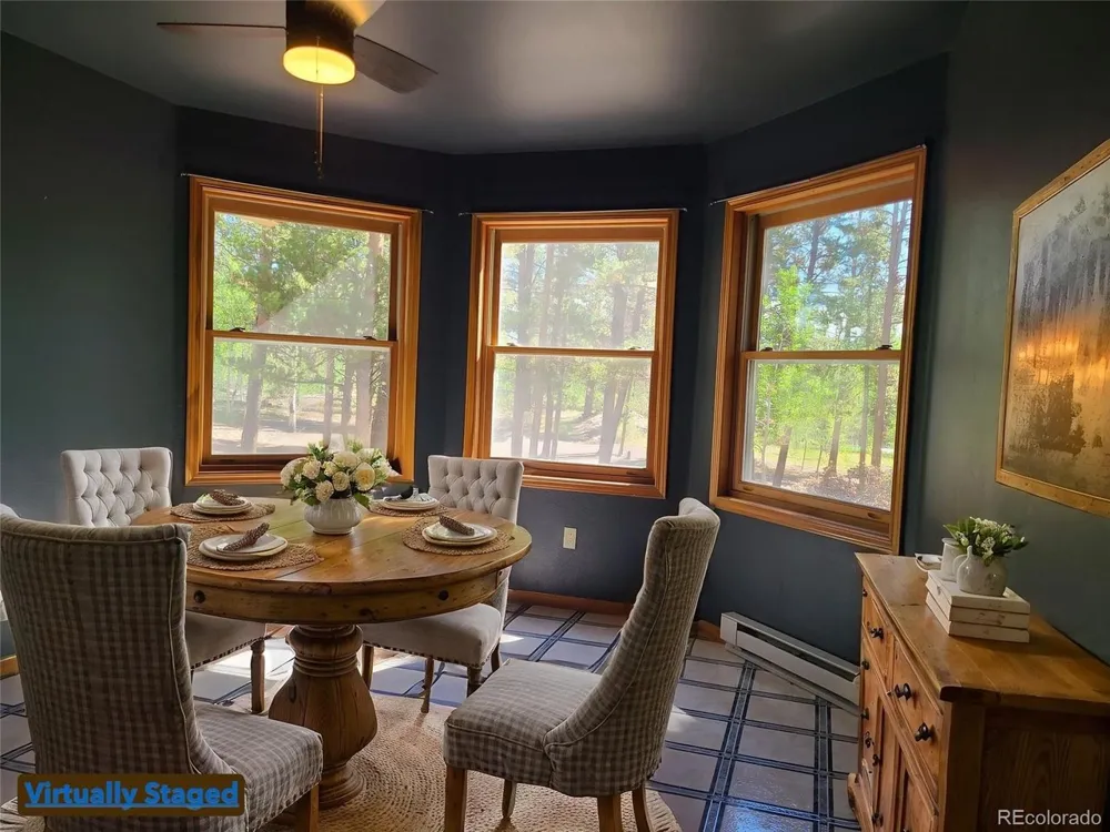 757 Thompson Park Road Fairplay, CO 80440