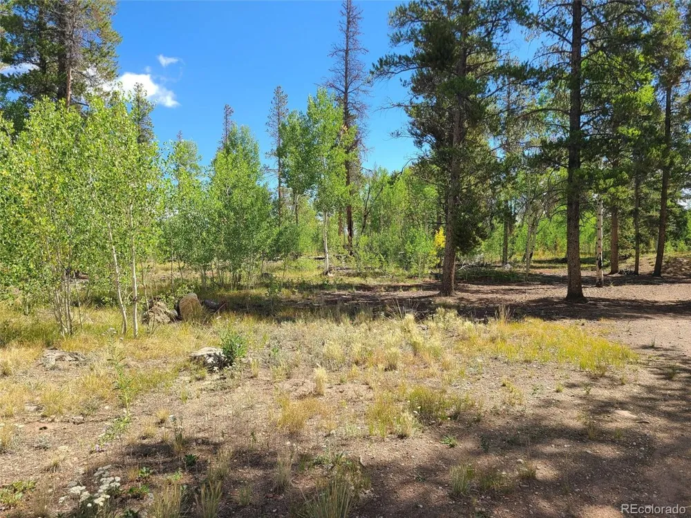 757 Thompson Park Road Fairplay, CO 80440