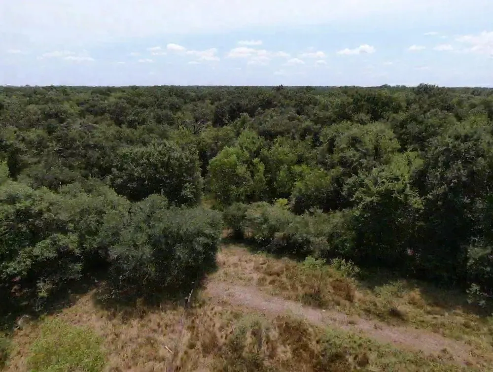 7800 Brazos River Road Damon, TX 77430