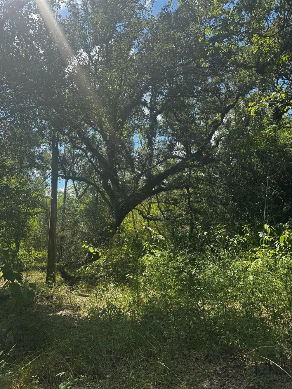 7800 Brazos River Road Damon, TX 77430