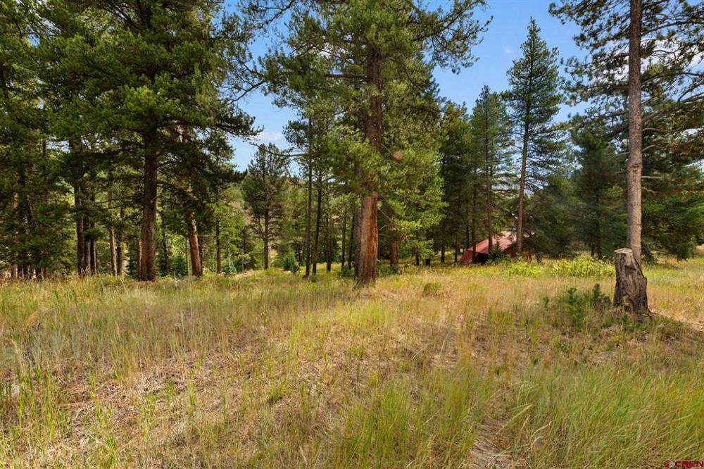 506 Nicholson Lake Ridge Road Crested Butte, CO 81224