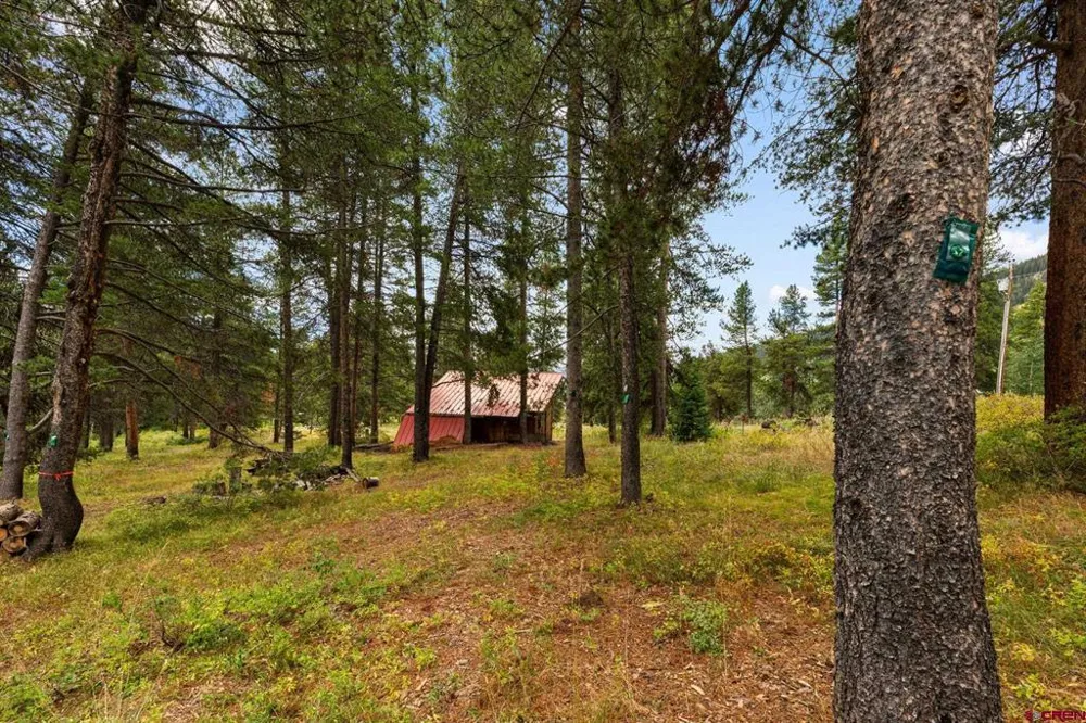 506 Nicholson Lake Ridge Road Crested Butte, CO 81224