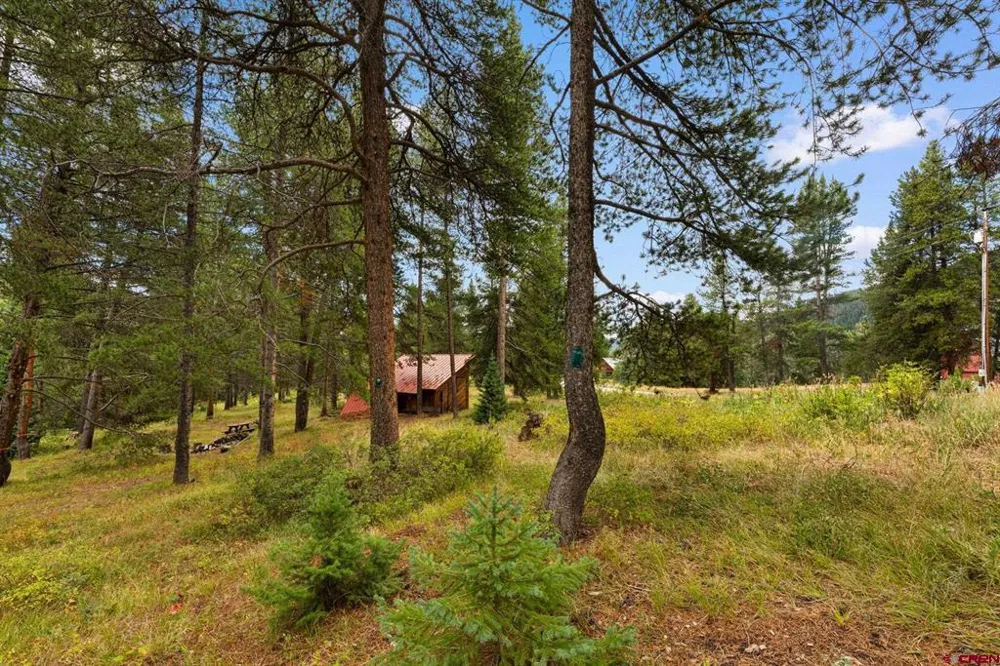 506 Nicholson Lake Ridge Road Crested Butte, CO 81224