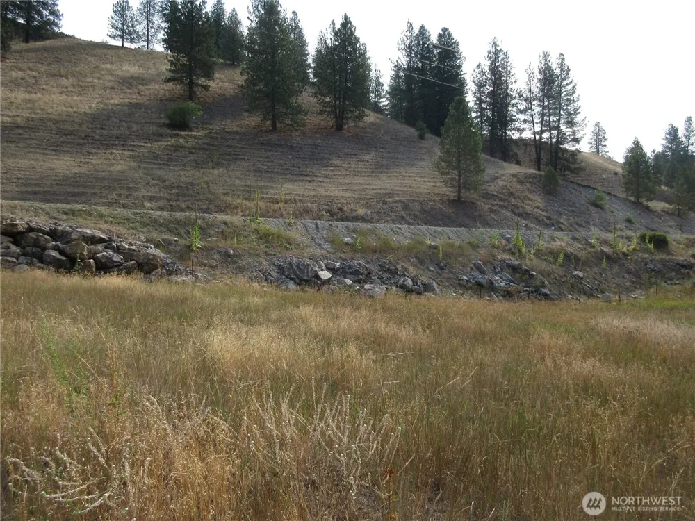 9999 Customs Road Curlew, WA 99118