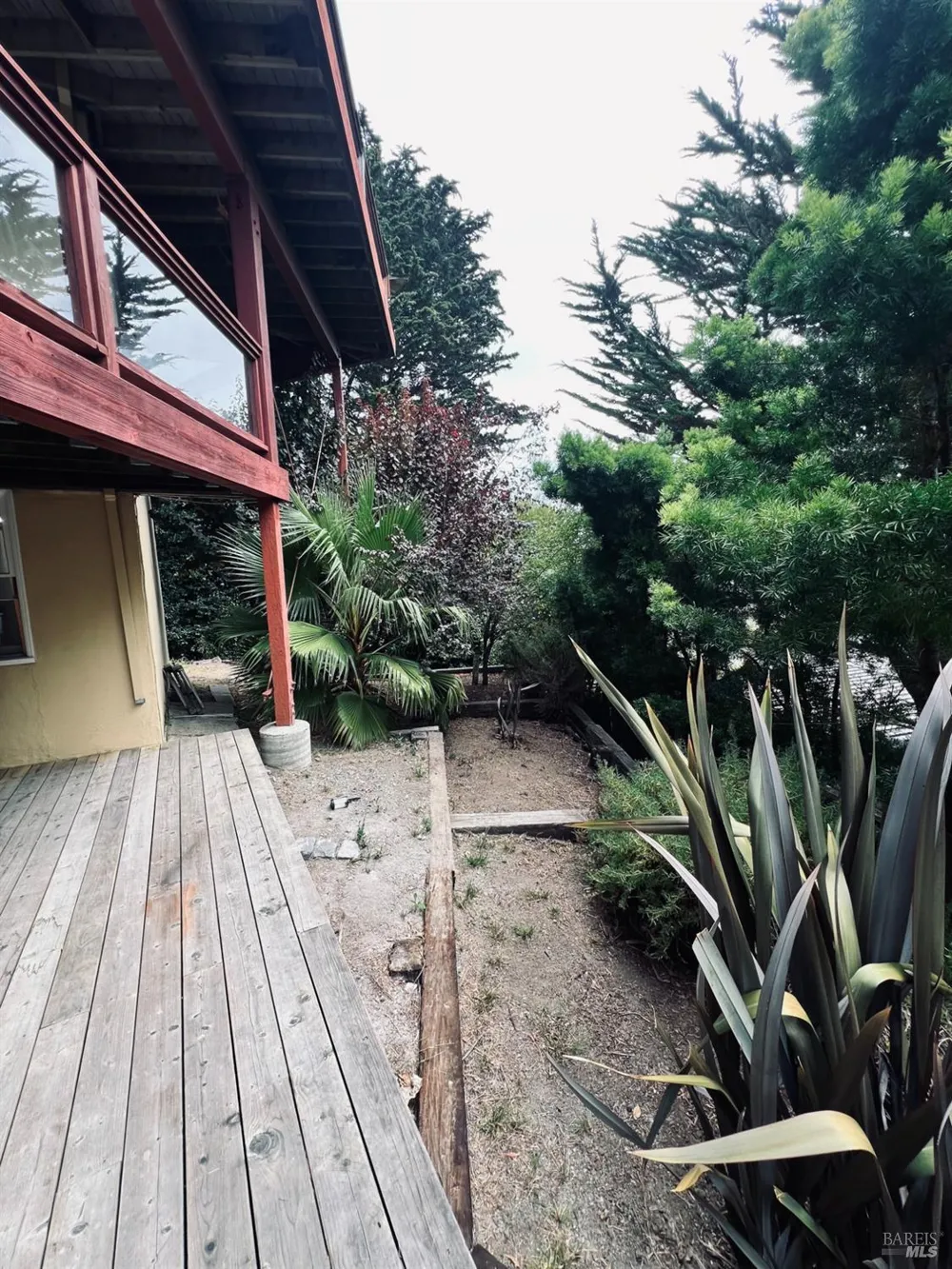 259 Greene Street Mill Valley, CA 94941