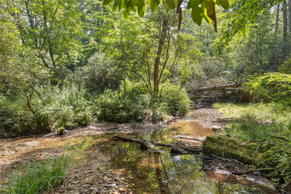 48 Mountain Brook Way Highlands, NC 28741