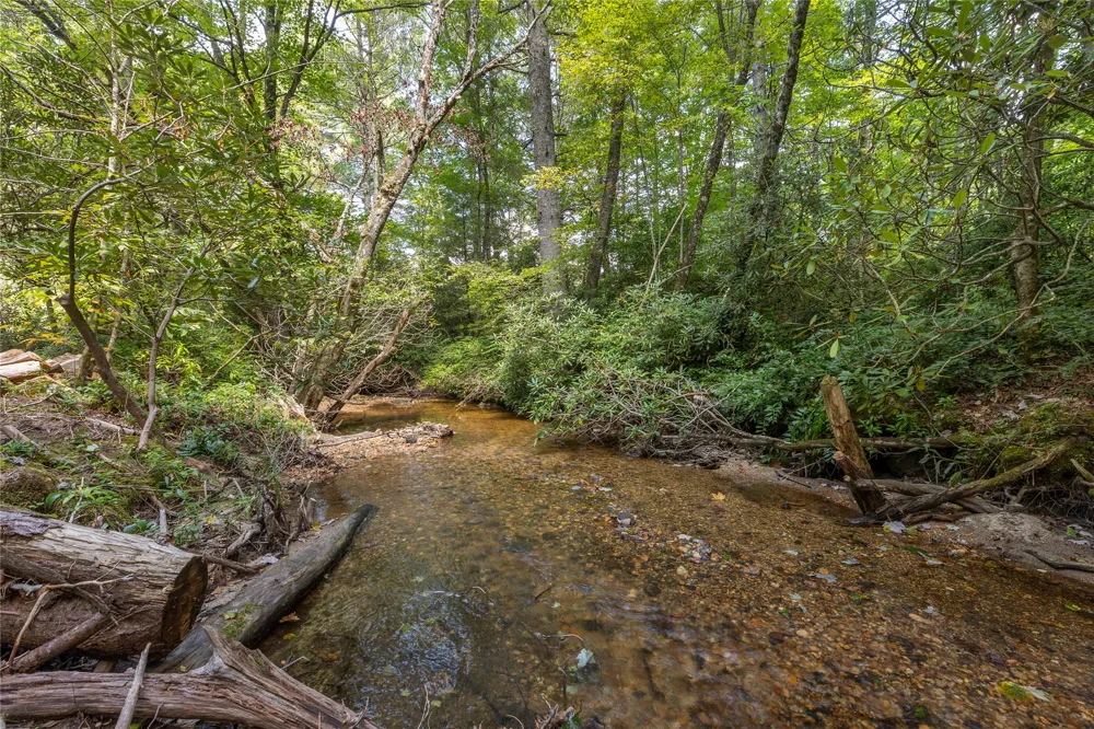 48 Mountain Brook Way Highlands, NC 28741