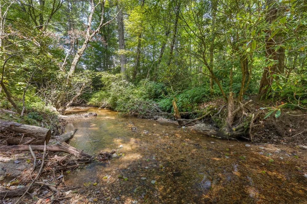 48 Mountain Brook Way Highlands, NC 28741
