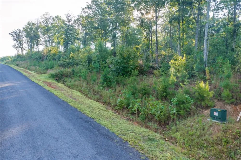 LT 191 Oak Park Drive Talking Rock, GA 30175