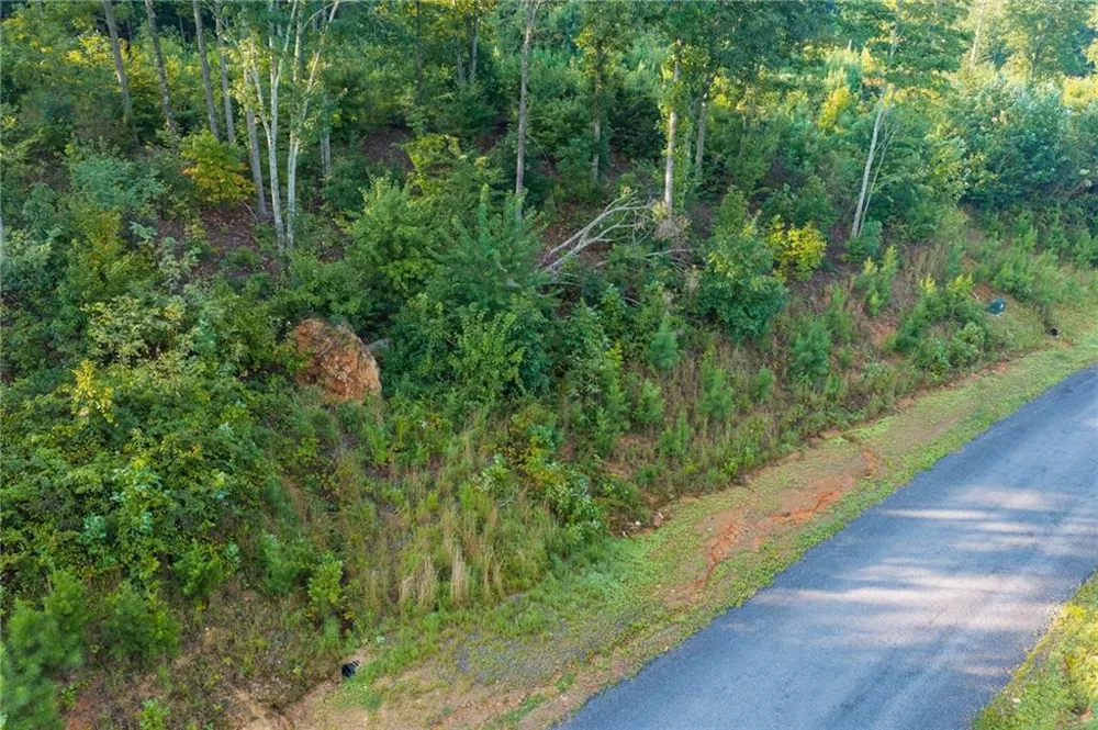LT 191 Oak Park Drive Talking Rock, GA 30175
