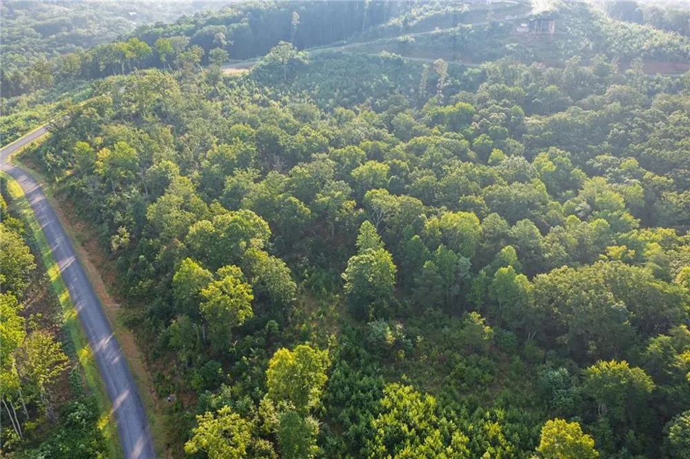 LT 191 Oak Park Drive Talking Rock, GA 30175