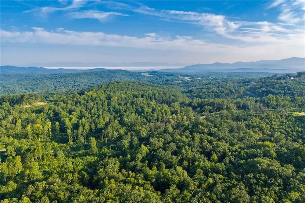 LT 191 Oak Park Drive Talking Rock, GA 30175