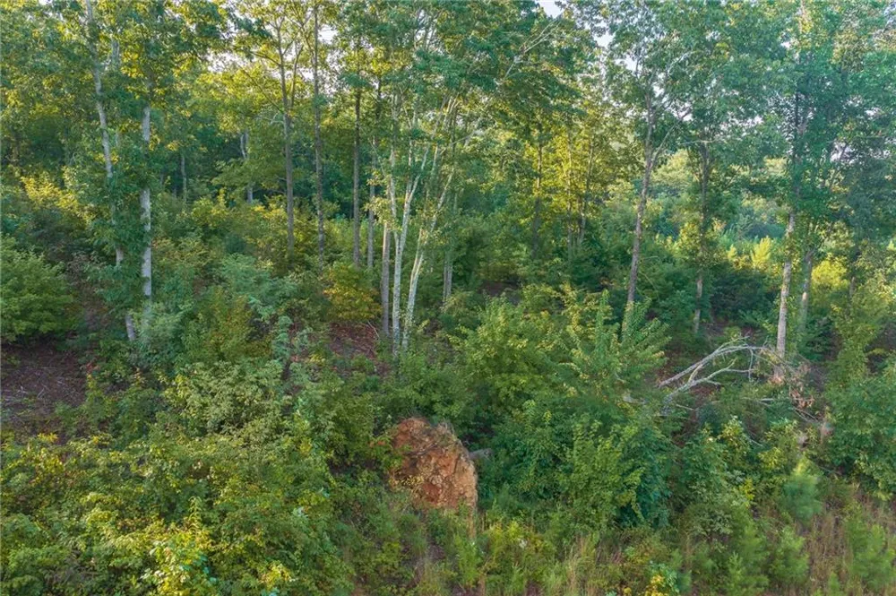 LT 191 Oak Park Drive Talking Rock, GA 30175