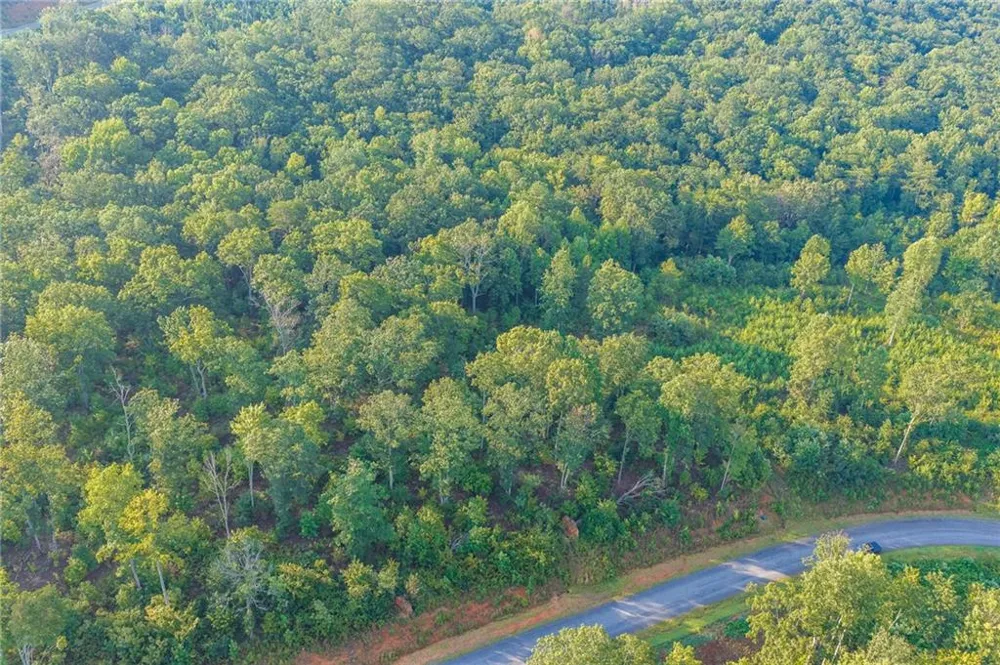 LT 191 Oak Park Drive Talking Rock, GA 30175