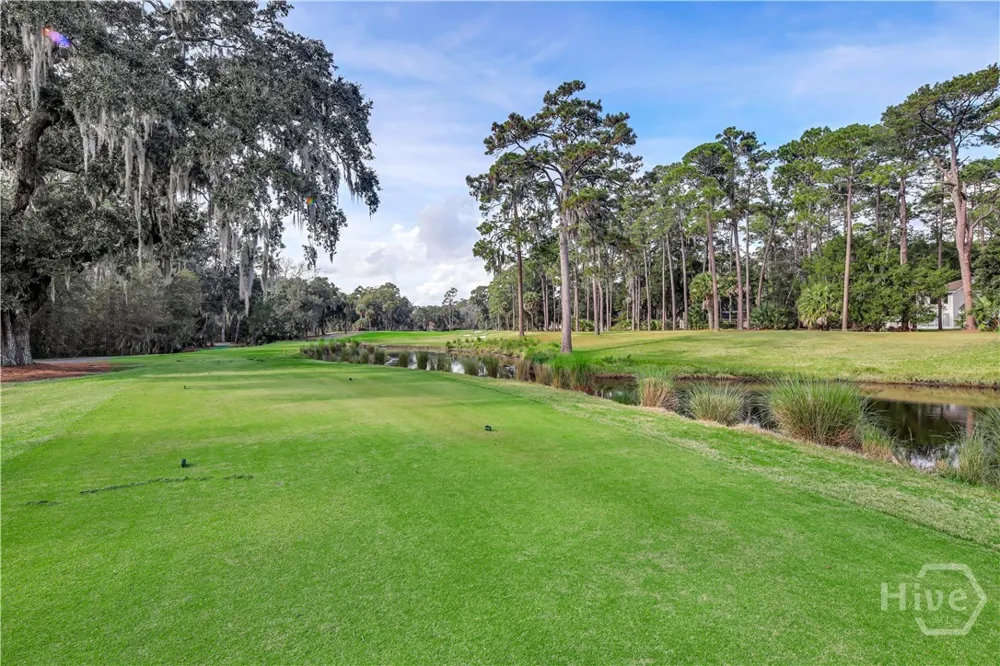 12 Blackbeard Lane Savannah, GA 31411