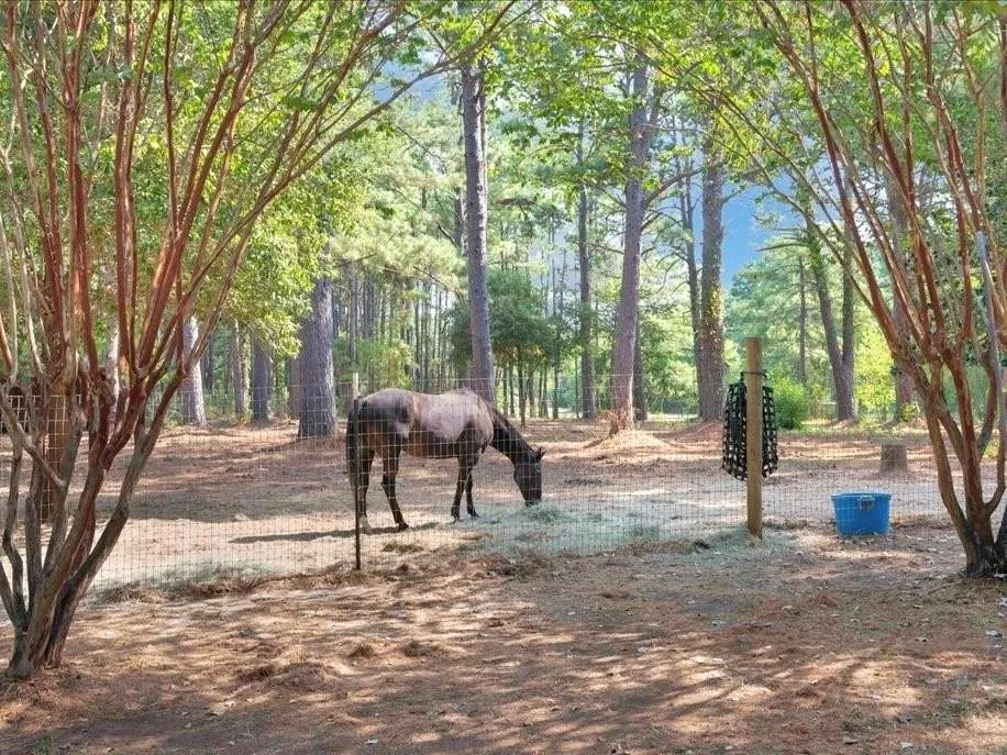 338 County Road 2041 Nacogdoches, TX 75965