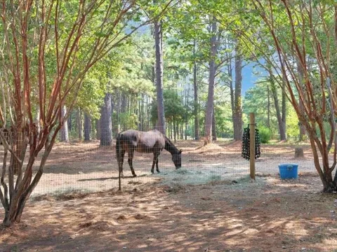 338 County Road 2041