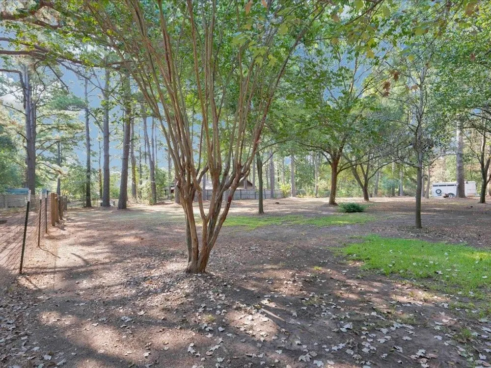 338 County Road 2041 Nacogdoches, TX 75965