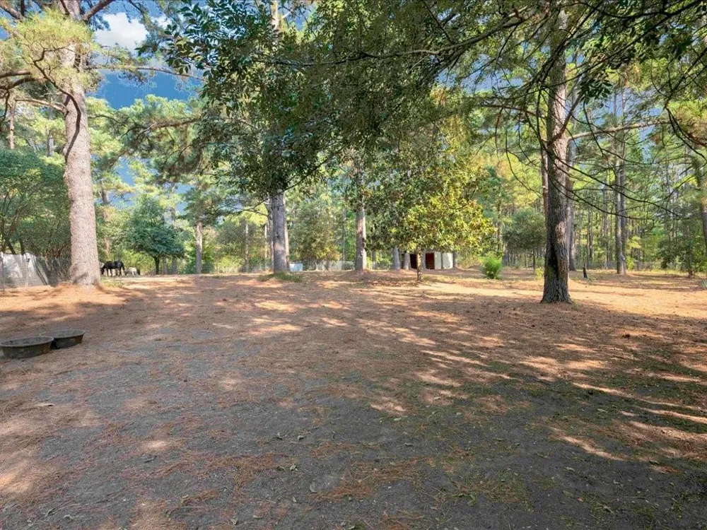 338 County Road 2041 Nacogdoches, TX 75965