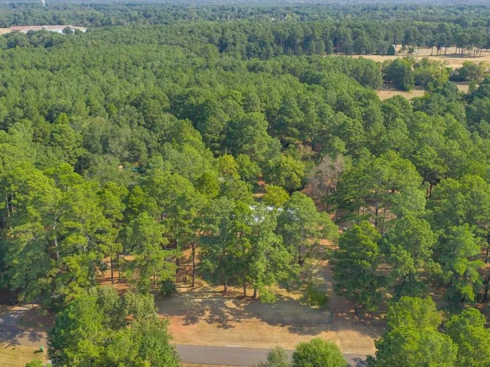338 County Road 2041 Nacogdoches, TX 75965