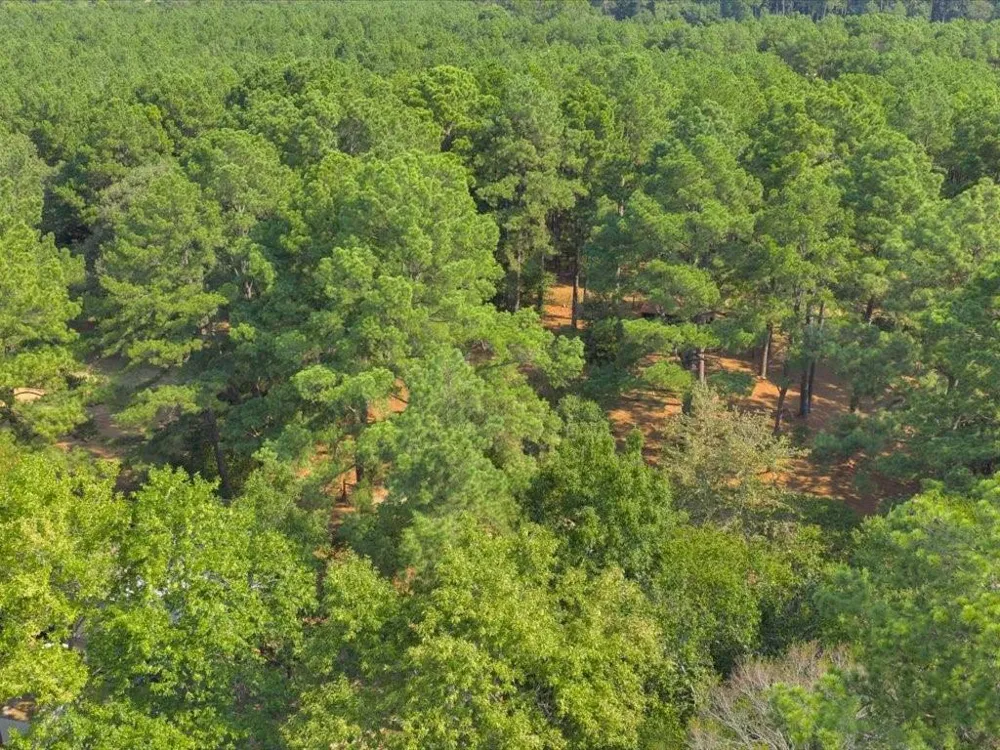 338 County Road 2041 Nacogdoches, TX 75965